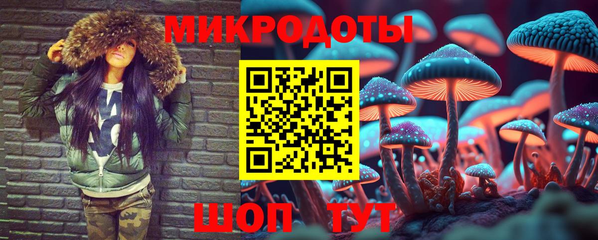 Псилоцибиновые грибы мицелий Нововоронеж