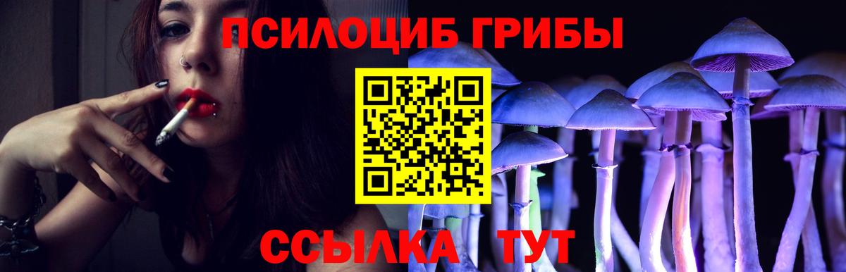 Галлюциногенные грибы Psilocybe  Псилоцибиновые грибы Magic Shrooms  Нововоронеж  Вход с VPN 